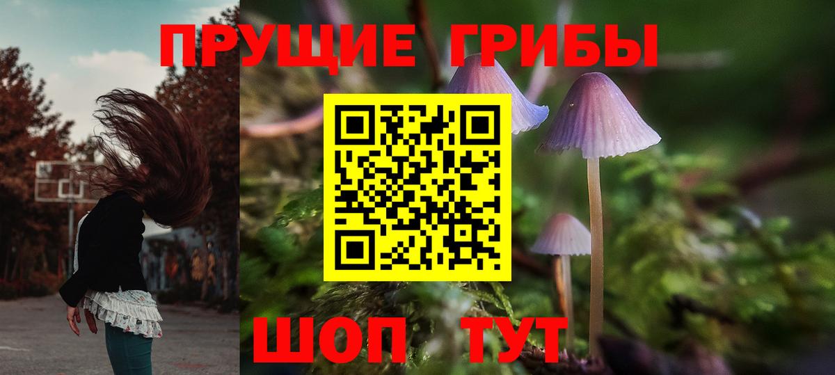 Псилоцибиновые грибы мухоморы Донецк